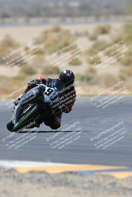 media/May-14-2023-SoCal Trackdays (Sun) [[024eb53b40]]/Turn 5 Tree of Life (1125am)/